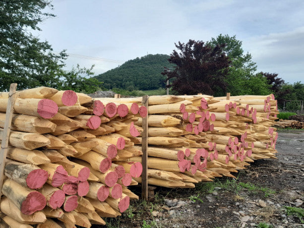 Robinienpfähle – Länge von 1 m bis 4 m (Ø 10–12 cm)