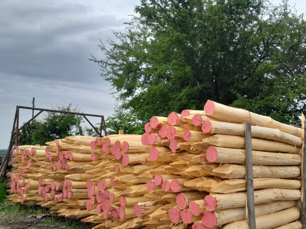 Robinienpfähle – Länge von 1 m bis 4 m (Ø 10–12 cm)