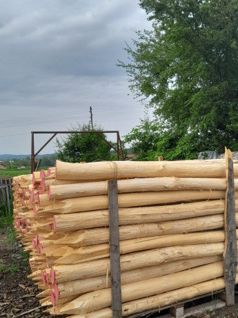 Robinienpfähle – Länge von 1 m bis 4 m (Ø 10–12 cm)