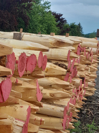 Robinienpfähle – Länge von 1 m bis 4 m (Ø 10–12 cm)