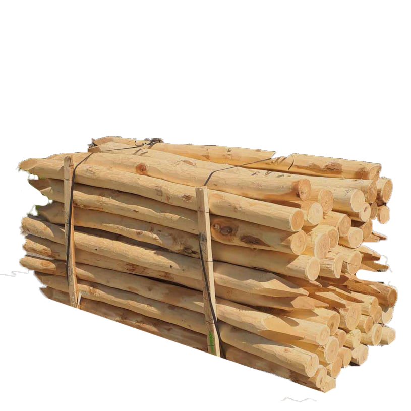 Robinienpfähle – Länge von 1 m bis 3 m (Ø 8–10 cm)