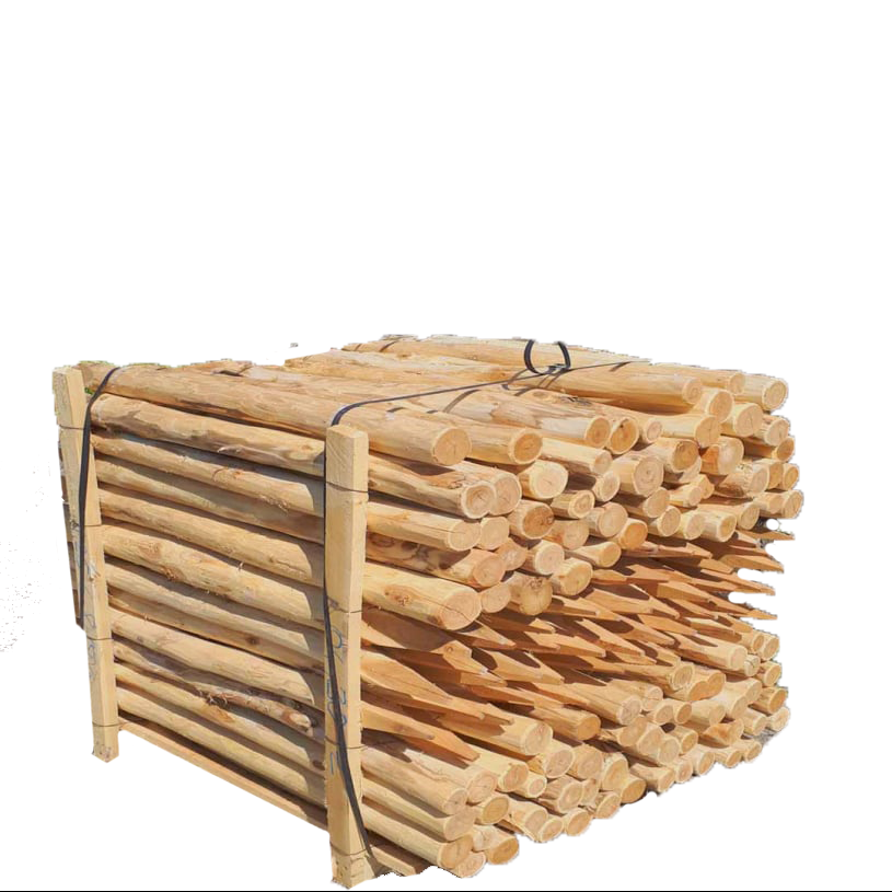 Robinienpfähle – Länge von 1,5 m bis 3 m (Ø 6–8 cm)