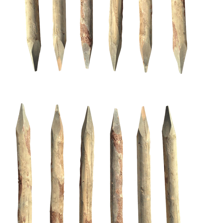 Robinienpfähle – Länge von 1,5 m bis 3 m (Ø 6–8 cm)
