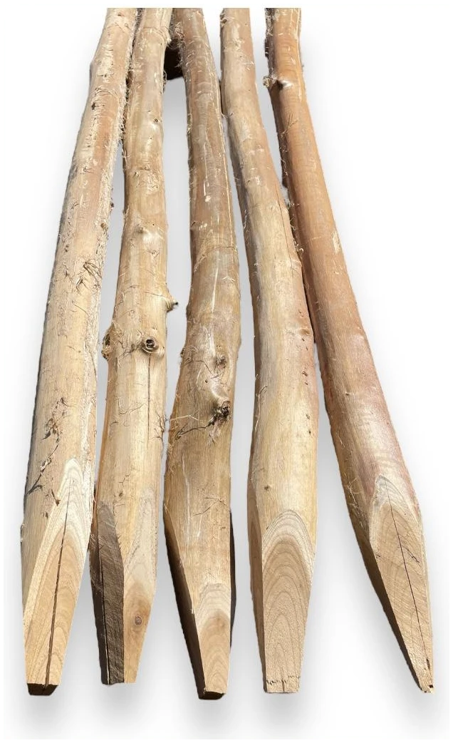 Robinienpfähle – Länge von 1,5 m bis 3 m (Ø 6–8 cm)